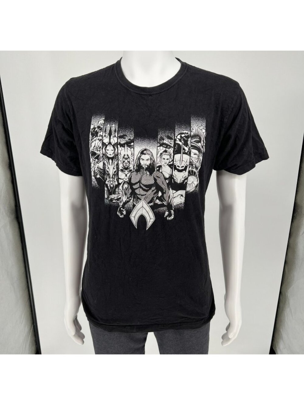 2010s DC Comics Monochrome Aquaman Movie Character Bars Graphic T-Shirt (L)